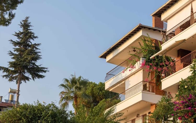 Διαμέρισμα Airbnb με μπαλκόνια γεμάτα λουλούδια και φυτά, περιτριγυρισμένο από φοίνικες και ψηλά δέντρα κάτω από καθαρό ουρανό.